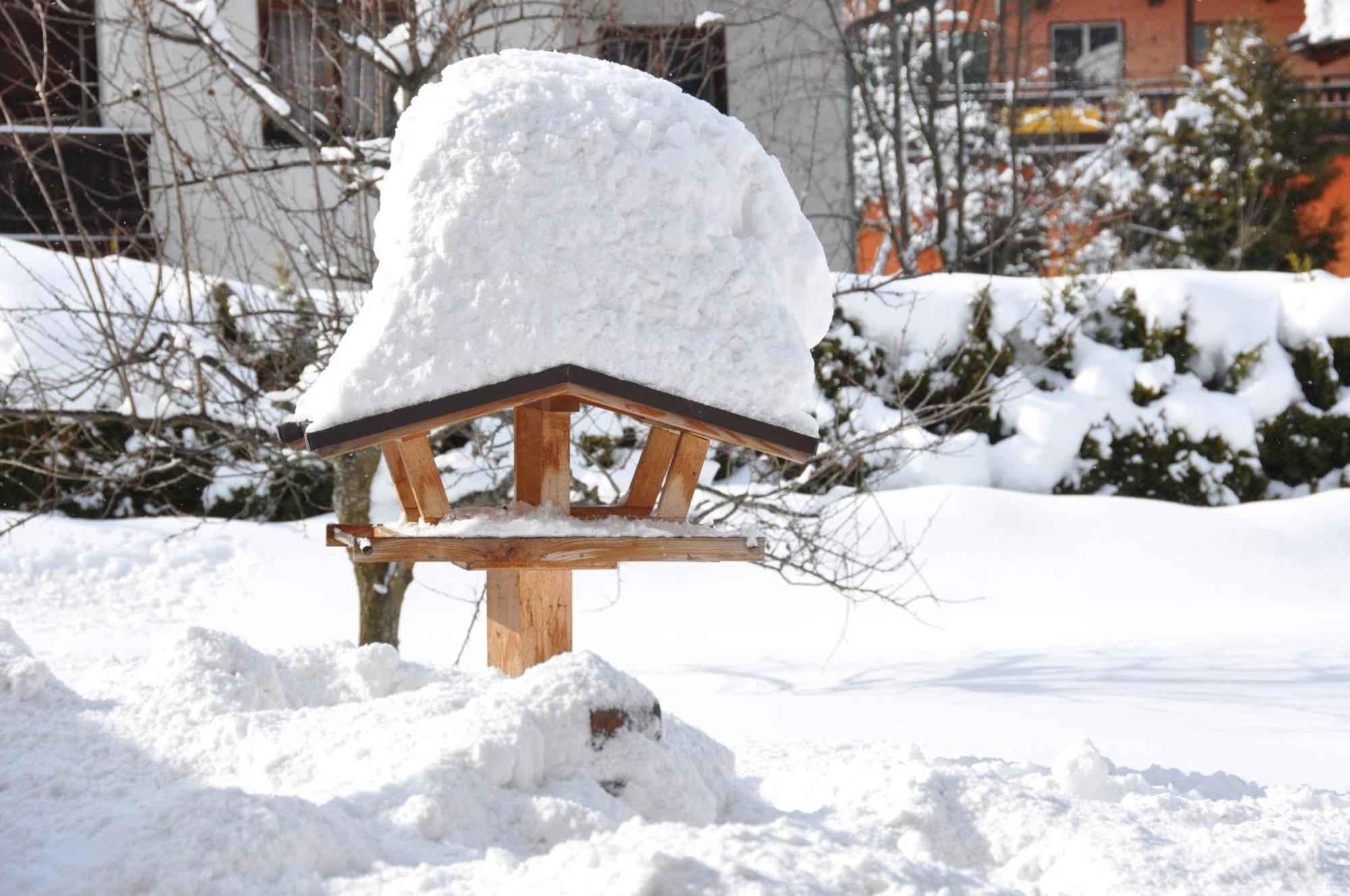 Pension Schmidinger Kitzbühel Exteriér fotografie